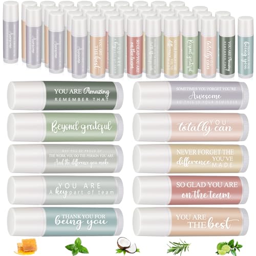 100 Sets Employee Appreciation Gifts Bulk for Coworkers Lip Balm Favors Thank You Team Gifts for Coworkers Staff Teachers Nurse Volunteer Thanksgiving Christmas Appreciation, 5 Flavors