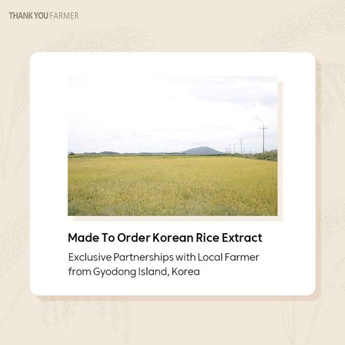 Rice Pure 3-Step Set [Cleanser & Toner & Cream]