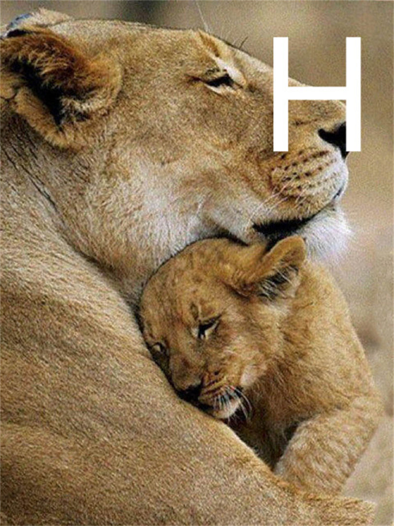 5D Diamond Embroidery Kit Lion Animal Cross Stitch DIY Art Craft Set