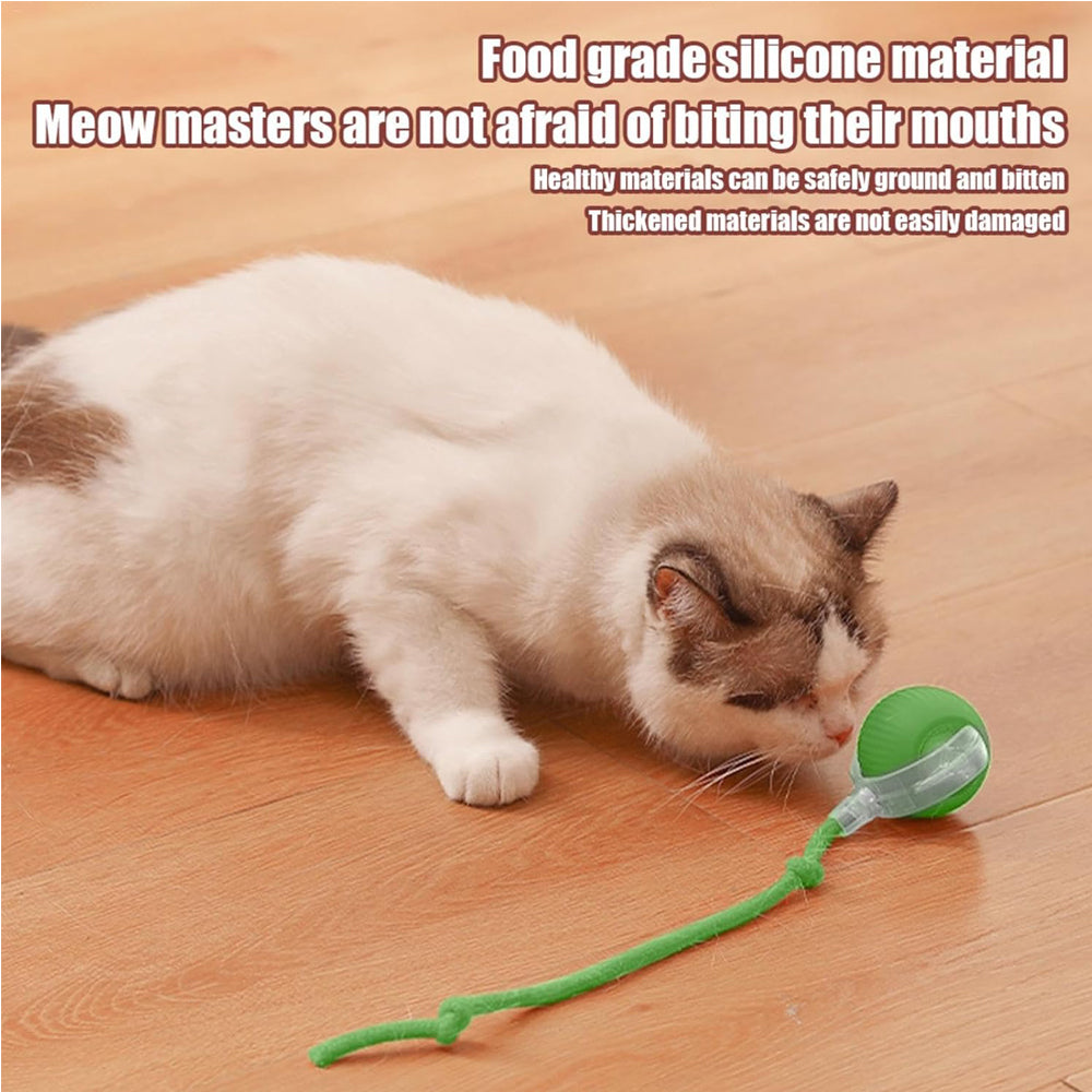 Interactive Electric Pet Ball Toy for Cats and Dogs - Indoor & Outdoor Play