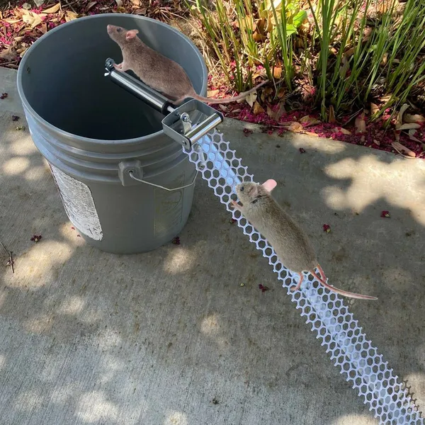 Reusable Mouse Trap with Rolling Ramp - Humane Rodent Catcher for Home & Garage