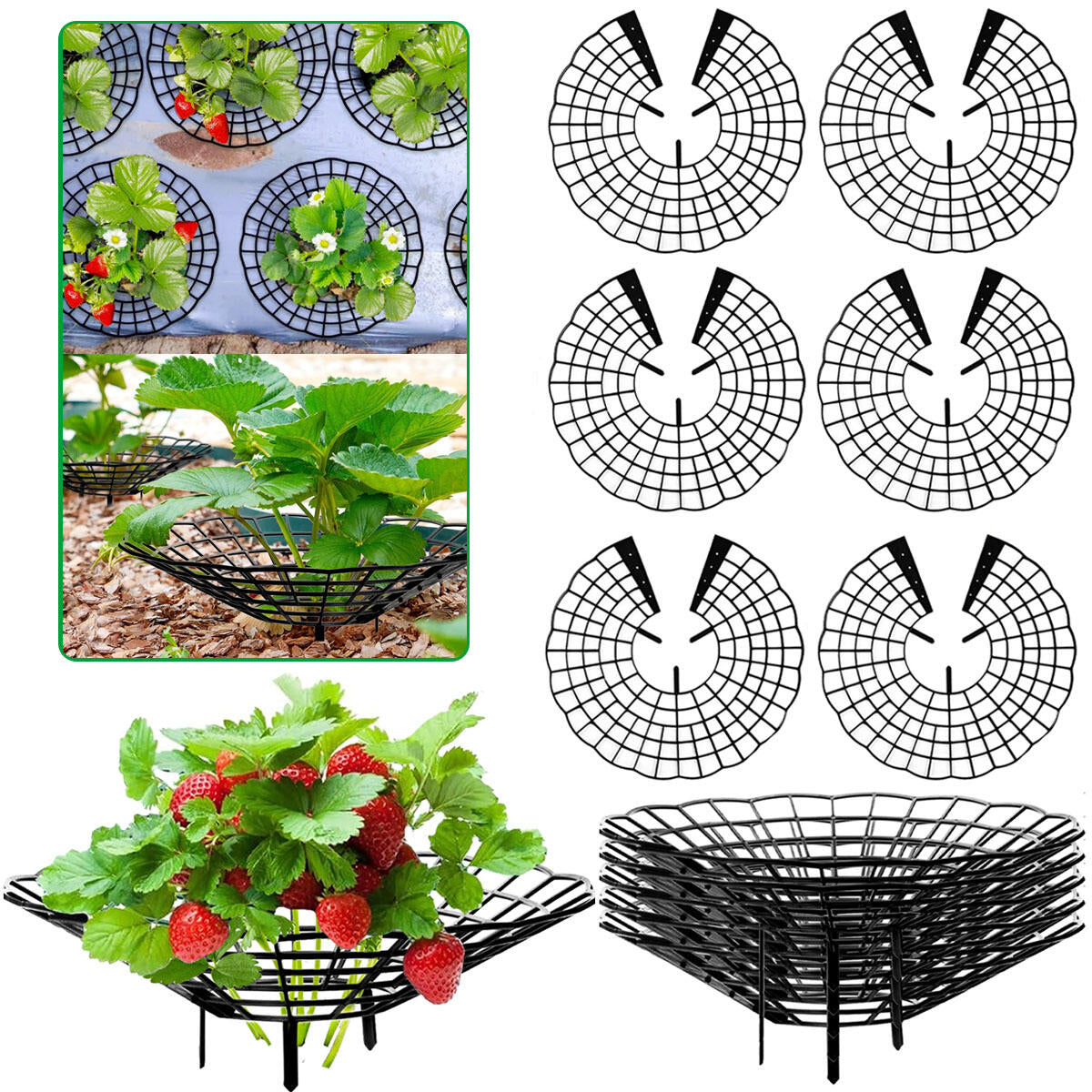 6-Pack Black Strawberry Plant Supports with 3 Fixed Legs