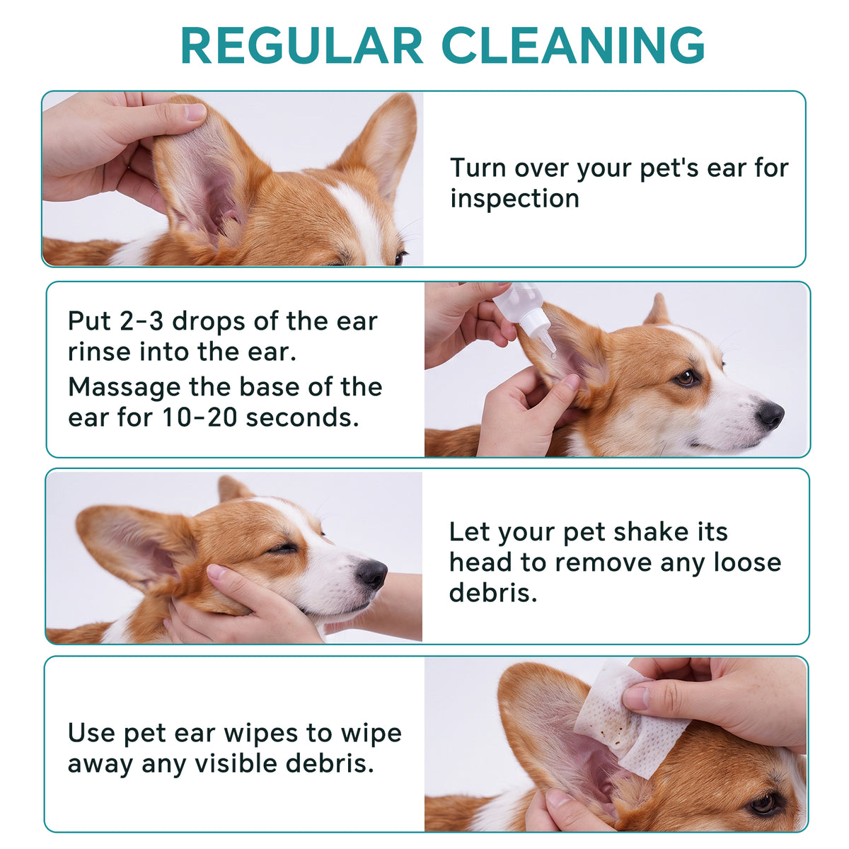 Pet Ear Drops - Ear Care Solution for Pets, Specification Included