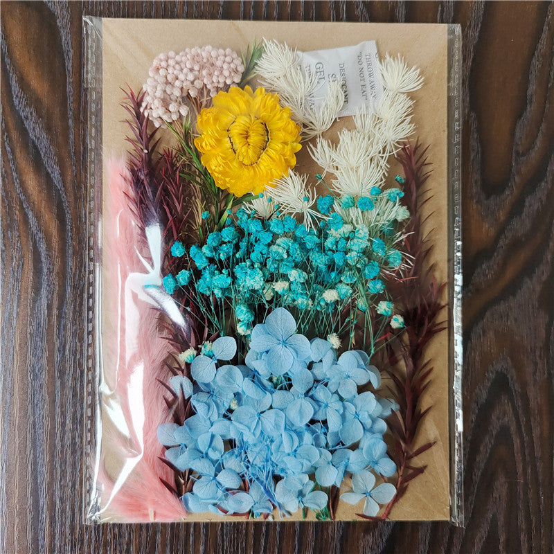 Dried Flower Material Pack for Candle & Photo Frame Decoration - Multiple Styles