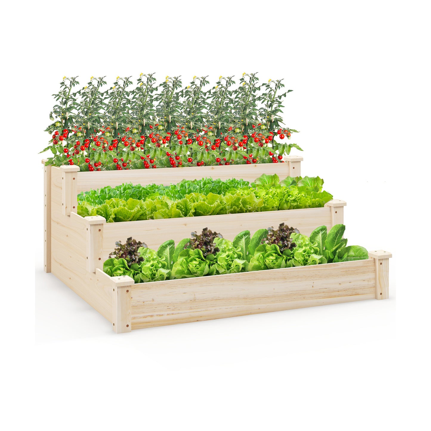 3-Tier Elevated Wooden Vegetable Garden Bed - Sturdy Fir Wood