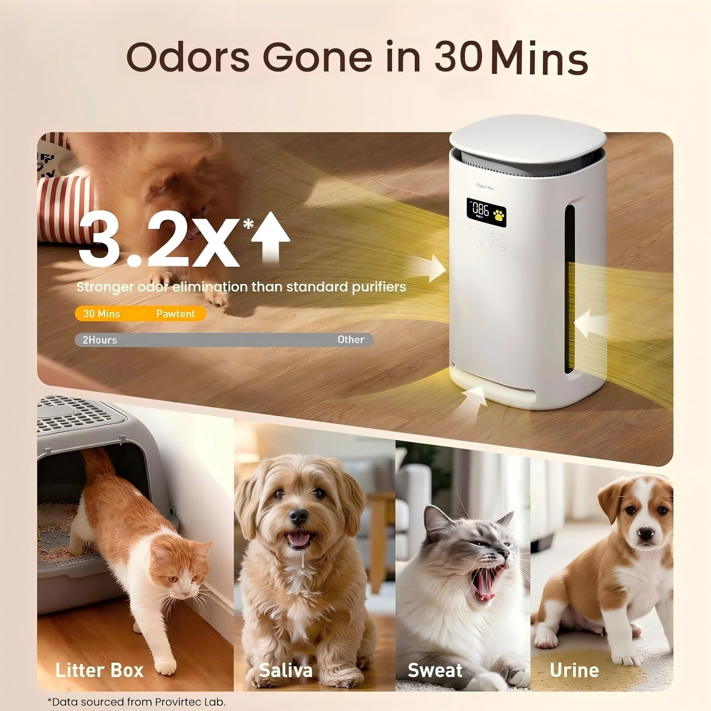 Pet Air Purifier with HEPA Filter for Large Rooms Up to 2000 Sq Ft - Odor & Pet Hair Reduction