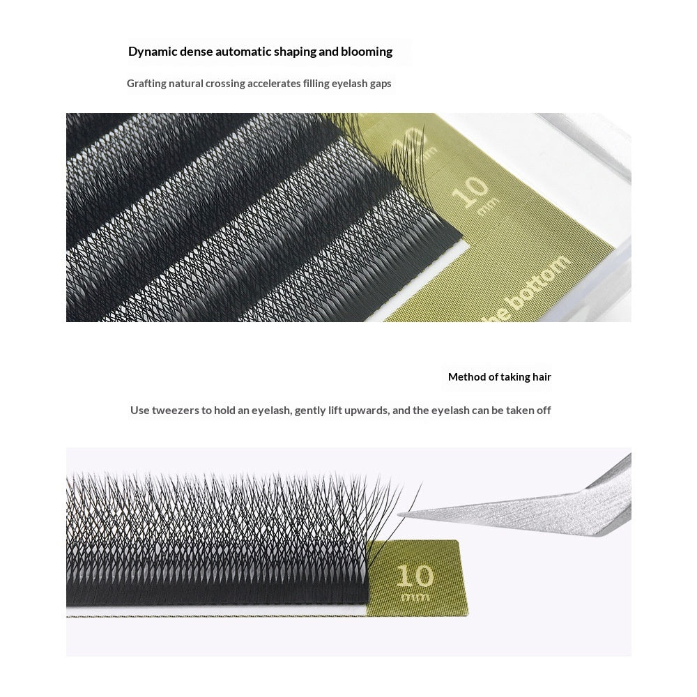 Volume Boost 5D False Eyelashes with Barbie Look Curl - Multiple Sizes & Styles