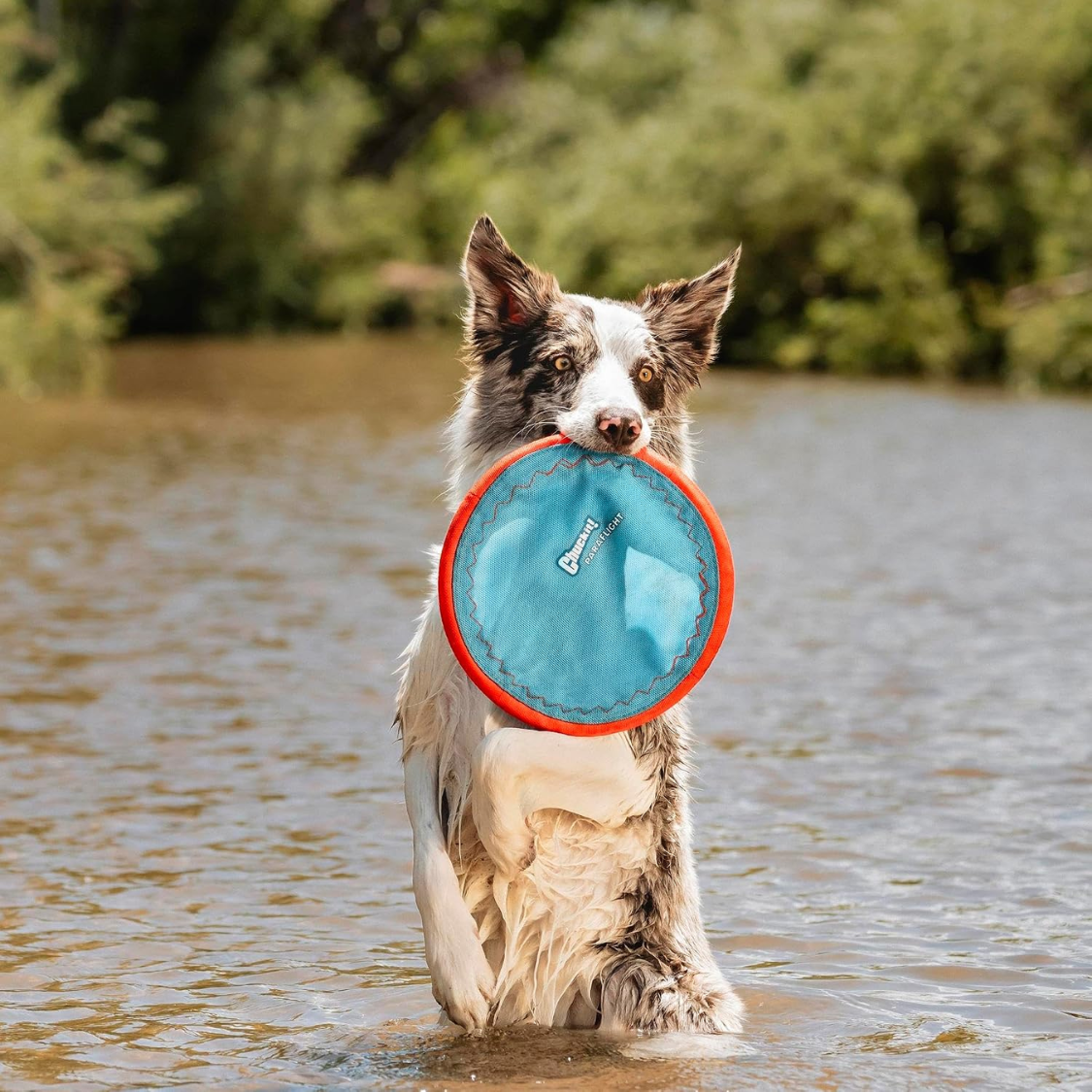 Dog Flying Disc Toy Water Floatable Durable Nylon Soft Rubber Edges for Medium & Large Dogs