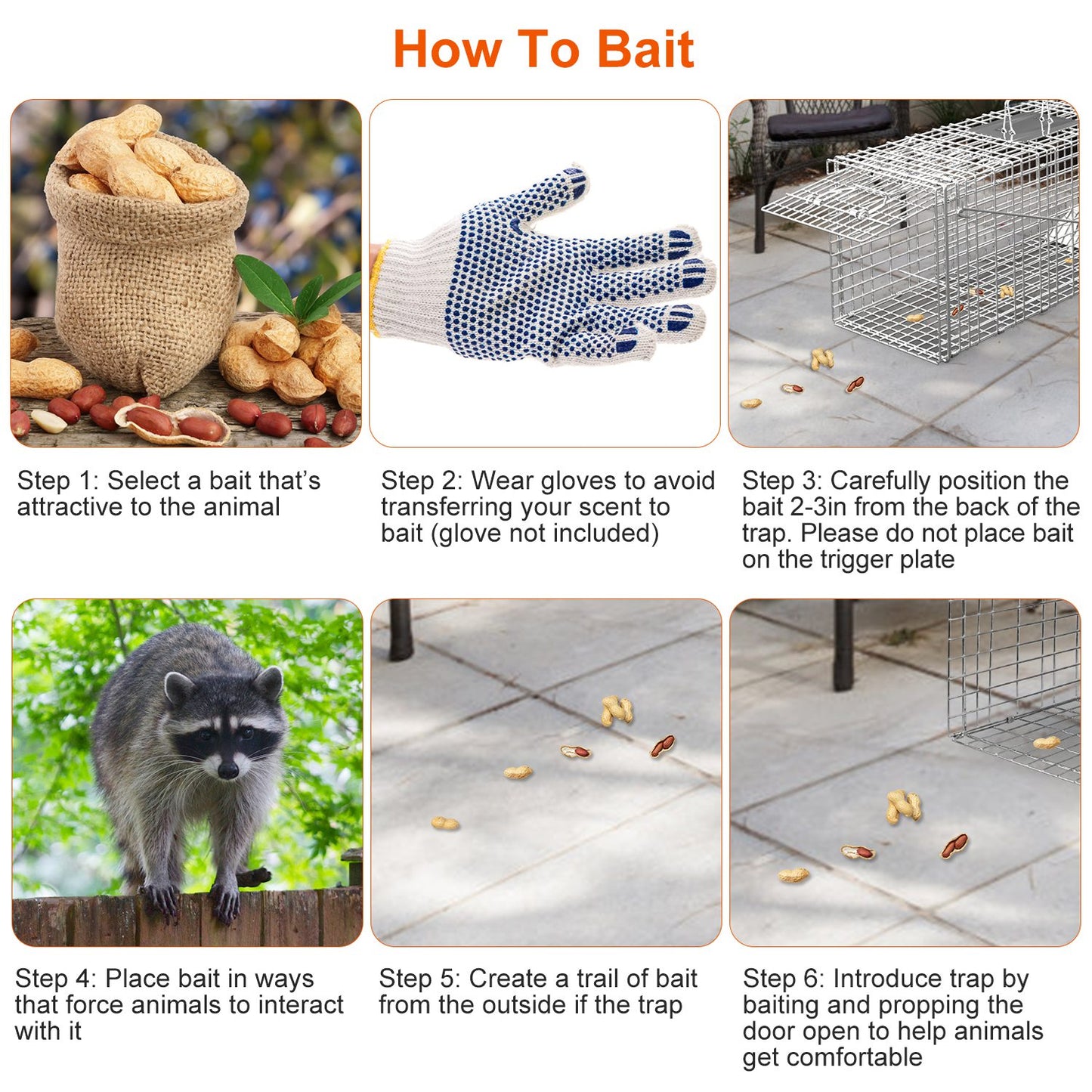 Humane Live Animal Trap Cage - Collapsible Wire for Raccoons, Foxes, Armadillos