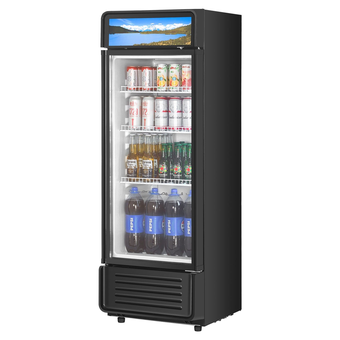 12.2 Cu Ft Commercial Glass Door Display Refrigerator - Black