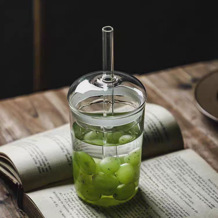 High Borosilicate Glass Drink Cup with Lid and Straw - 510ml