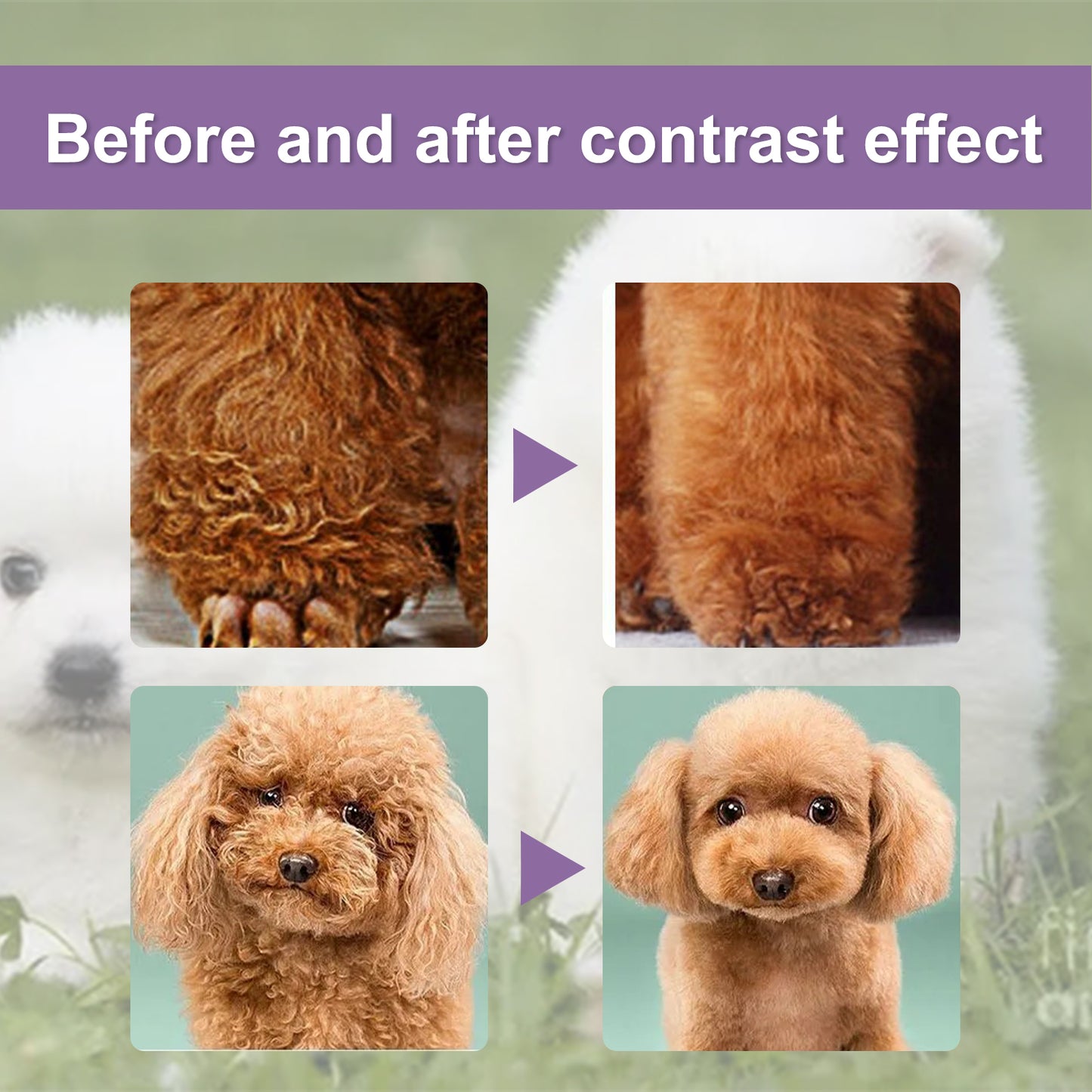 Pet Hair Conditioner for Dogs & Cats - Moisturizing Detangler, Anti-Static, Brightening Fur, 50ml Set
