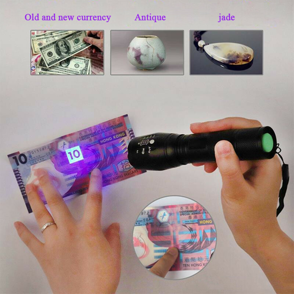 2-in-1 UV and White LED Flashlight with Focus Adjustable Inspection Light - Black