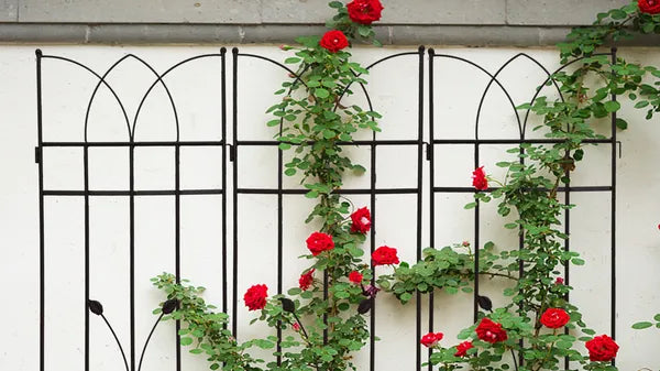 Metal Garden Trellis - 71" x 17.7" Rustproof Climbing Support