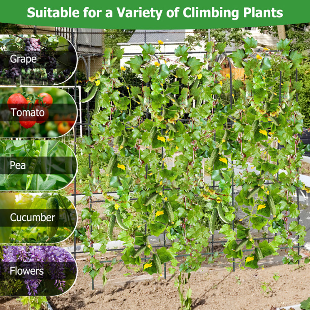 Large U-Shaped Garden Trellis for Climbing Plants - Black, 71 x 71 Inches