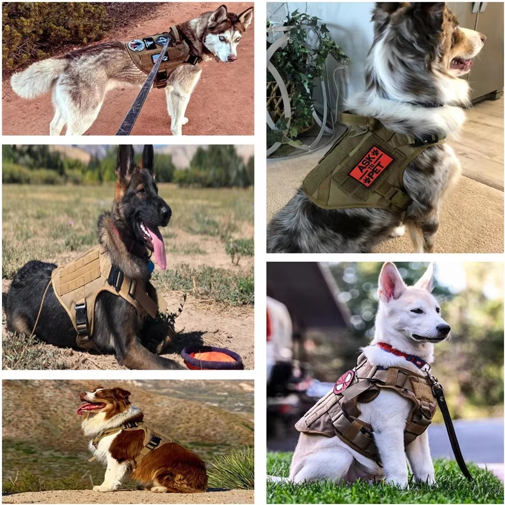 Luxury Dog Harness and Leash Set Nylon Camouflage for Small to XL Dogs