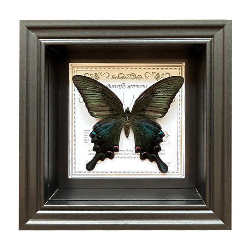 Butterfly Specimen Wall Art - Framed Decorative Butterfly Print - Multiple Sizes & Styles