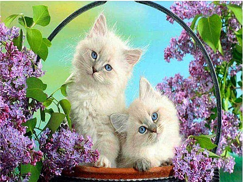 Diamond Painting Kit for Home Decor - Animal Rhinestone Art, Multiple Sizes & Styles