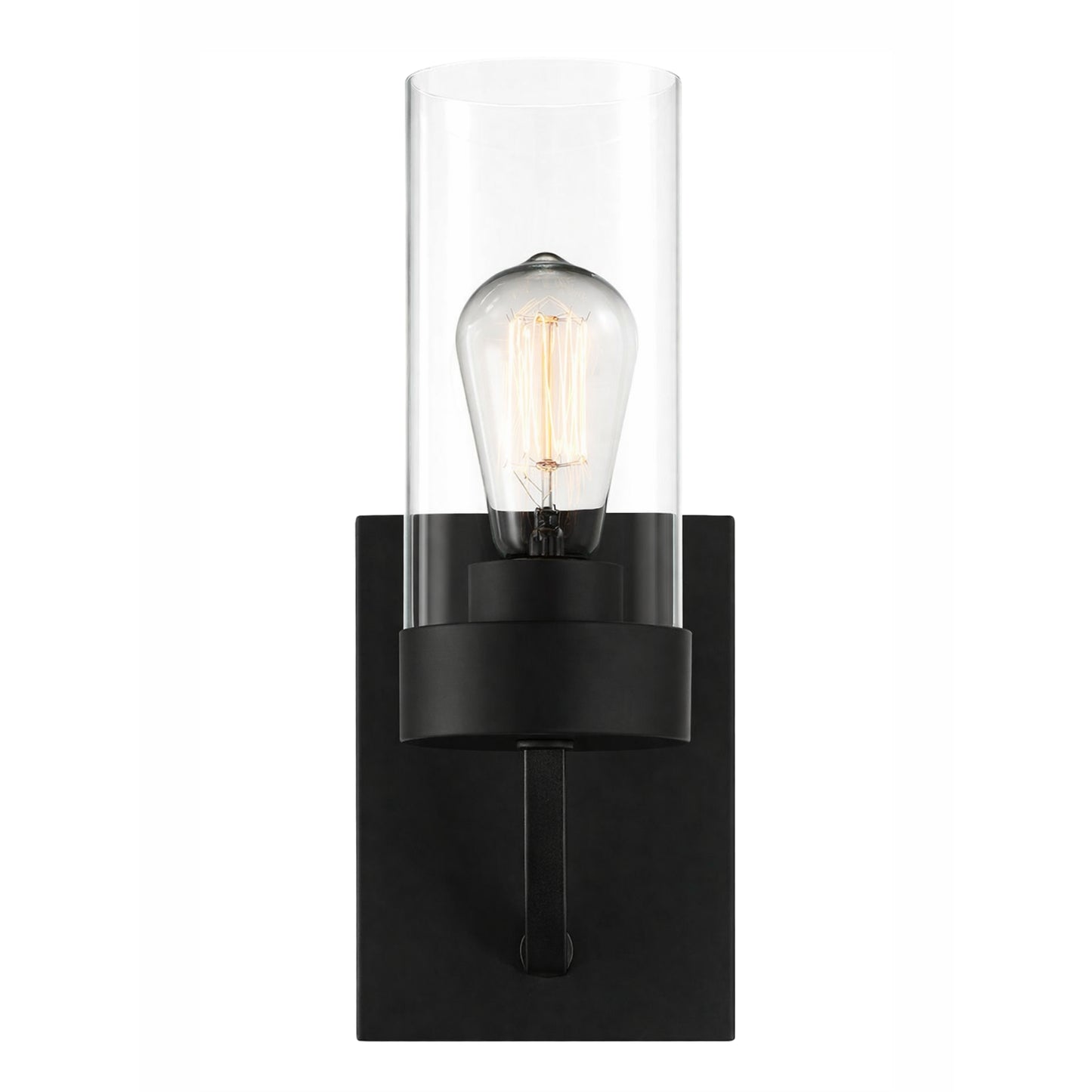 Zephyr Single Light Sconce With Clear Glass Metal Black Finish