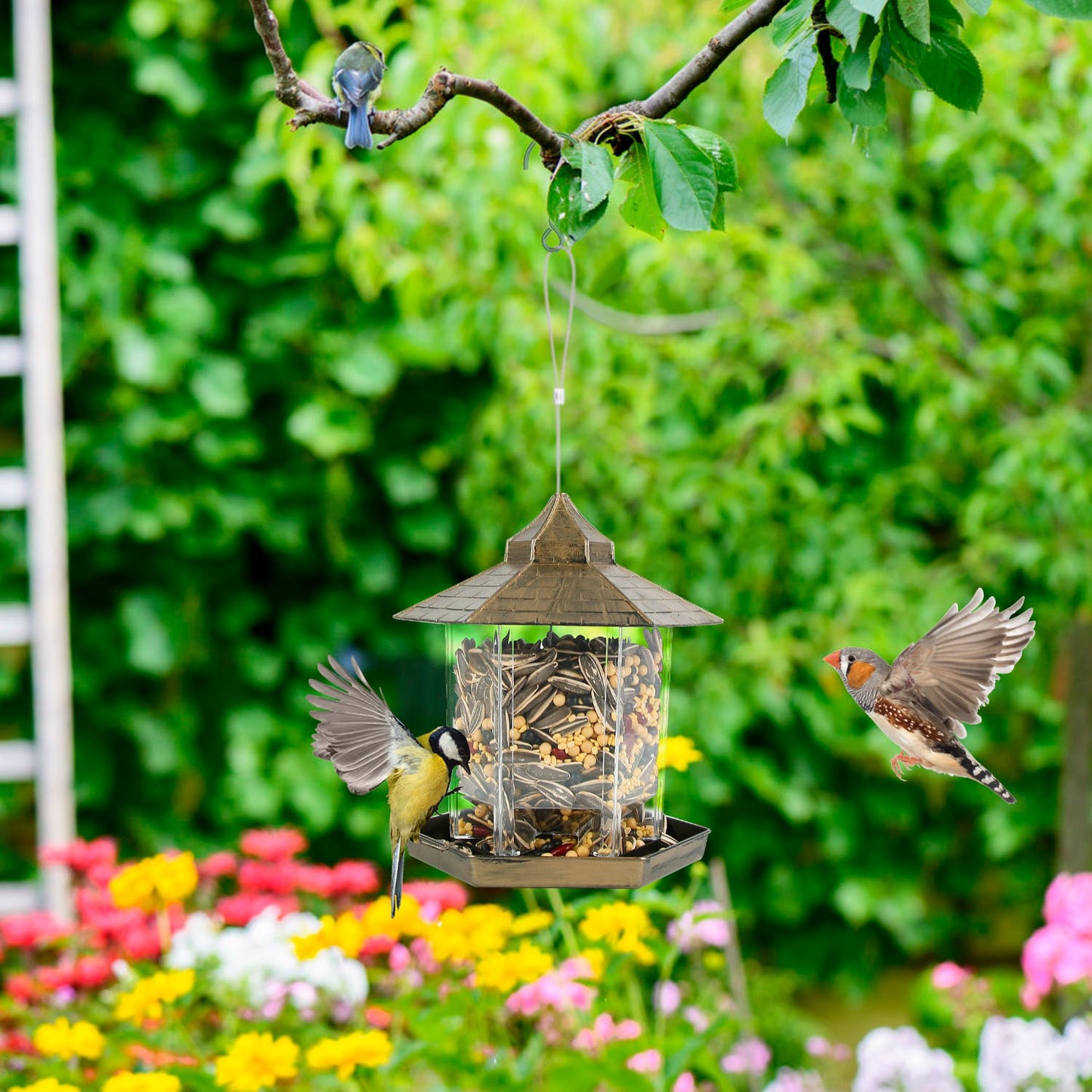 Hanging Bird Feeder with Large Capacity and 6 Feeding Ports for Garden Patio Park