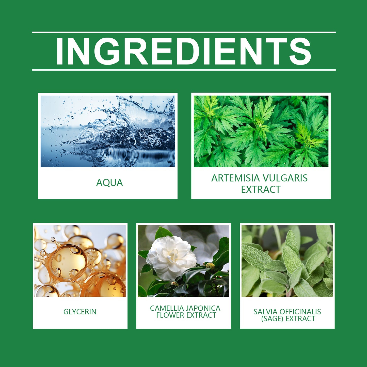 Mugwort Calming Facial Cleanser - Hydrating & Pore Clearing Face Wash