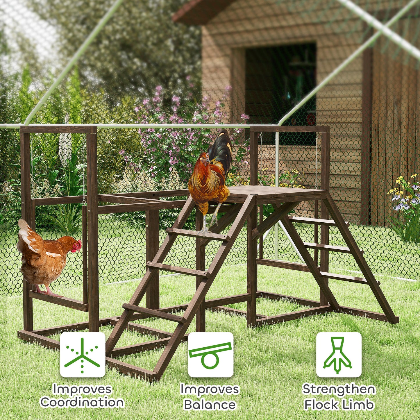 Chicken Activity Play Set with Perches, Swing, Ladder for Poultry, Coffee
