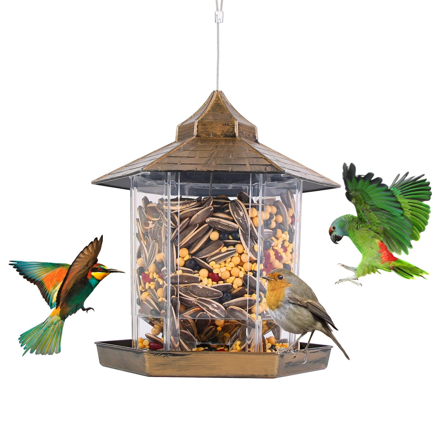 Hanging Bird Feeder with Large Capacity and 6 Feeding Ports for Garden Patio Park
