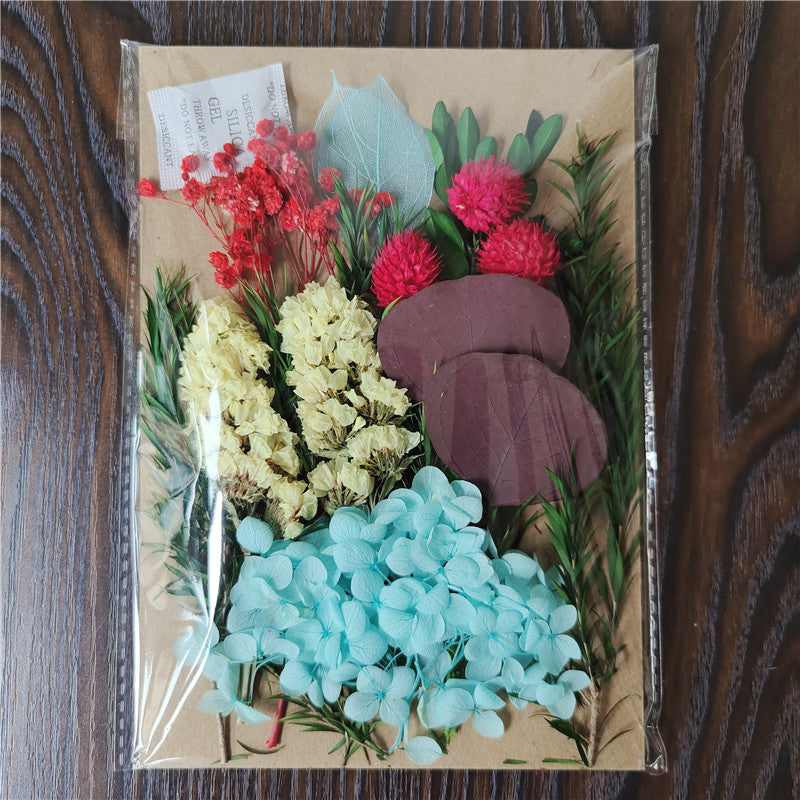 Dried Flower Material Pack for Candle & Photo Frame Decoration - Multiple Styles