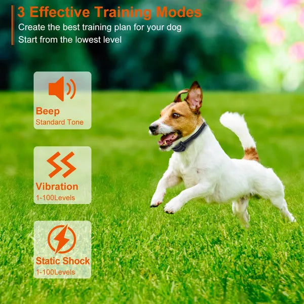 Waterproof Dog Training Collar with Beep Vibration & Shock 3280FT IP67