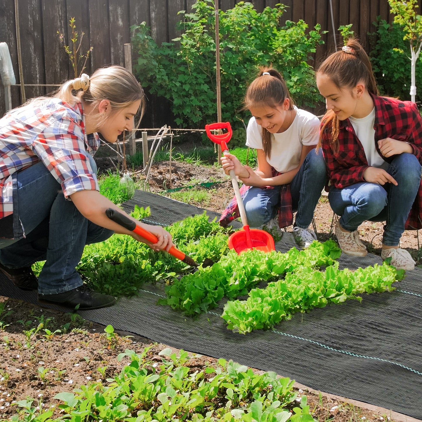 Heavy Duty Weed Barrier Landscape Fabric - Black, 3.9' x 300'