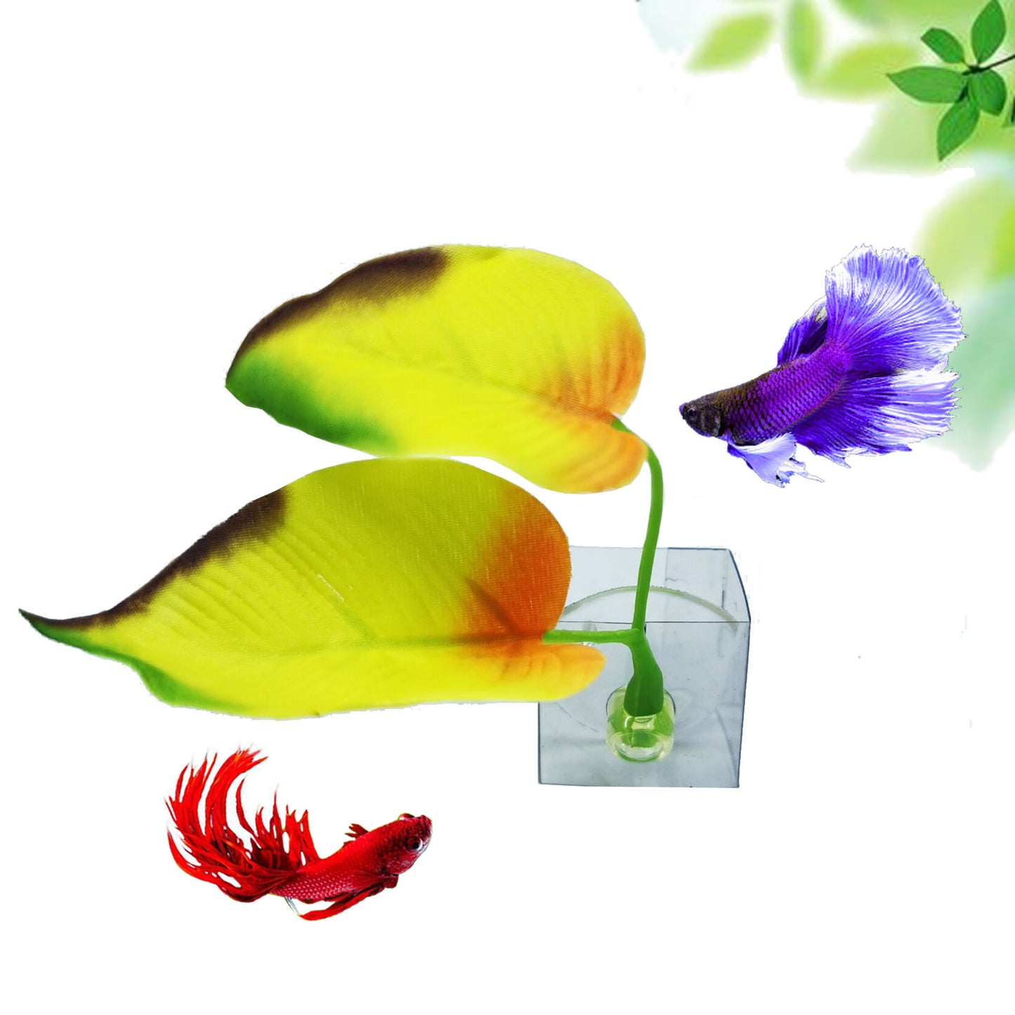Aquarium Fish Tank Decoration Leaf Rest Double Leaf Design - Betta Fish Landscaping