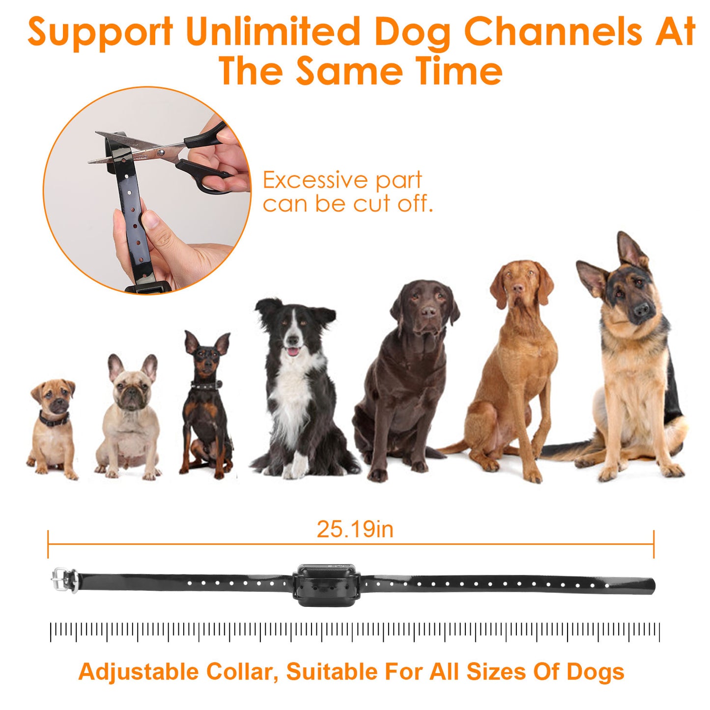 Wireless Dog Fence System with GPS Collar - Rechargeable & Adjustable Range
