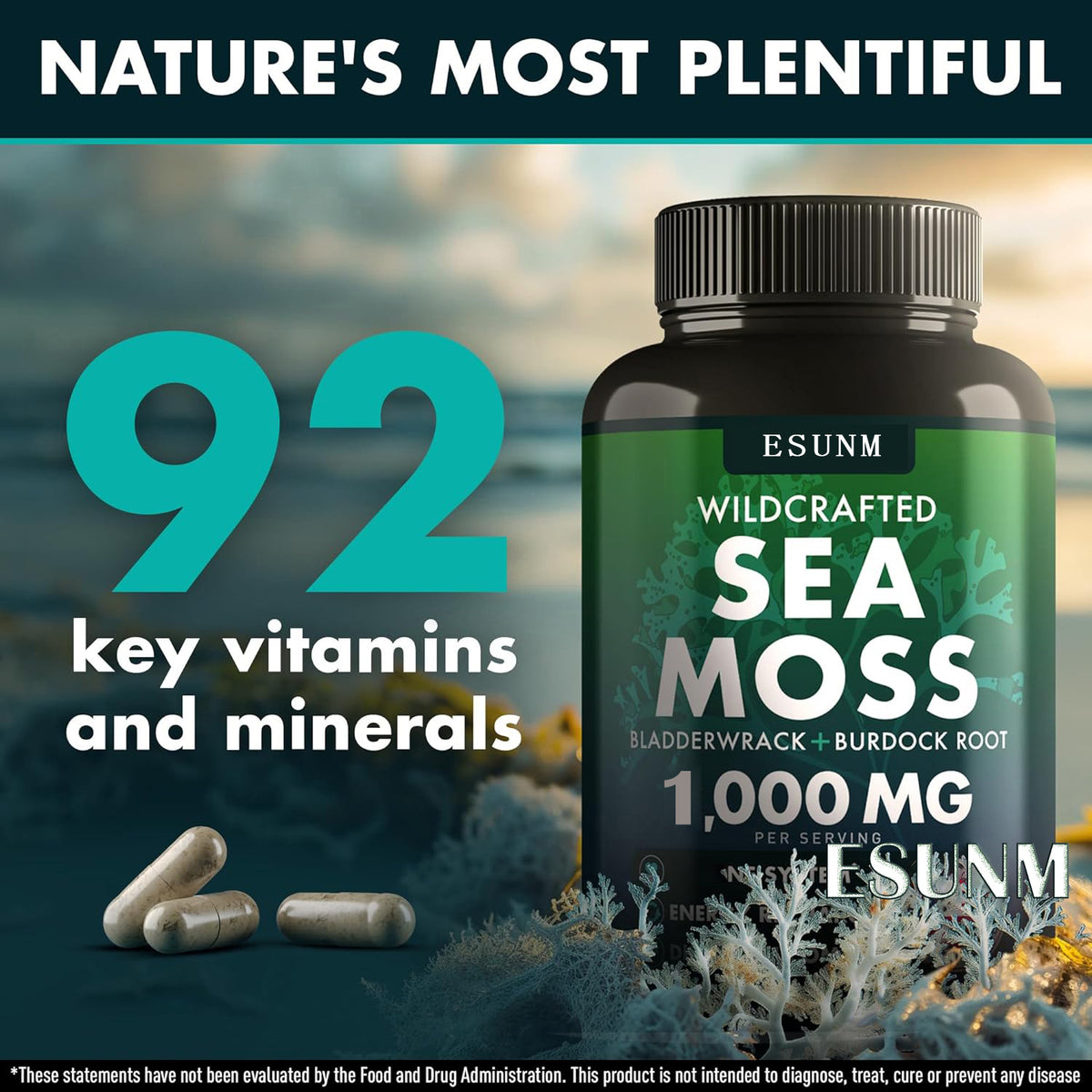 Seaweed Compound Vitamin Capsules - 120 Tablets