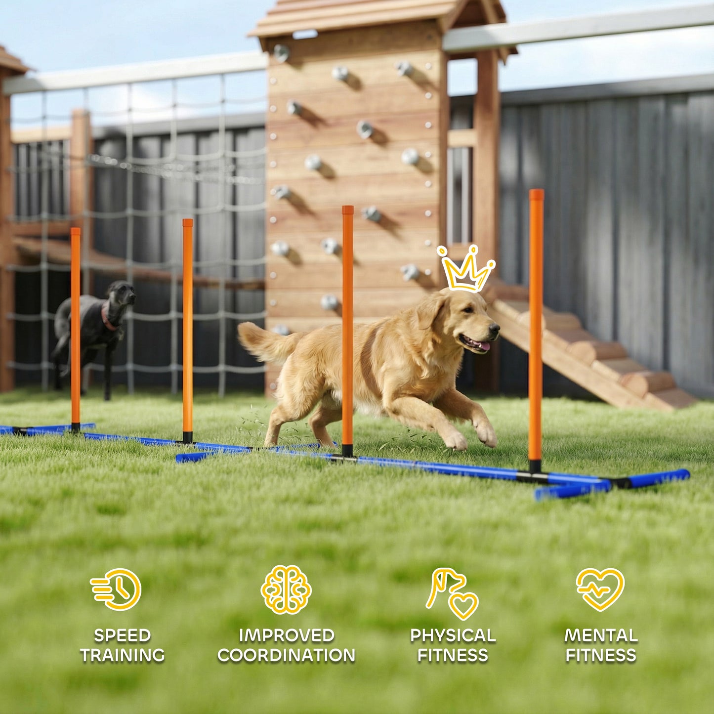 Dog Agility Training Poles - Adjustable, Portable Course Equipment with Carry Bag