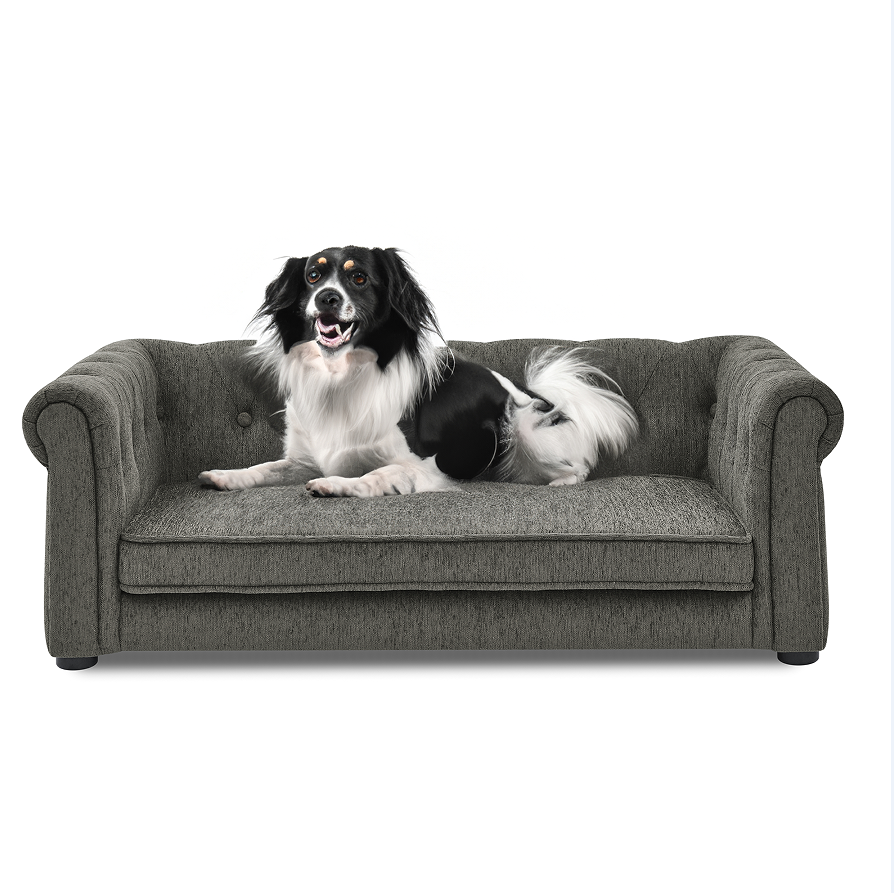 Elevated Large Dog Bed - Modern Rectangular Pet Sofa in Dark Grey