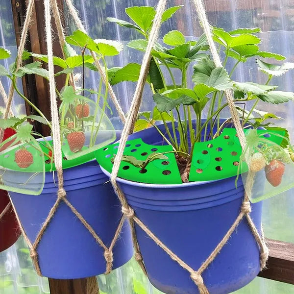 8-Piece Strawberry Planting Kit with Supports & Insect-Proof Bags