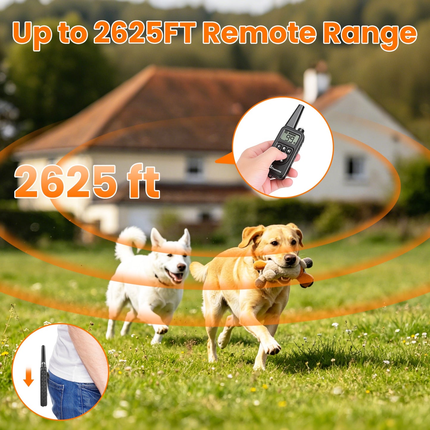 Dog Training Collar with Remote - Waterproof, Long Range, Multi-Mode