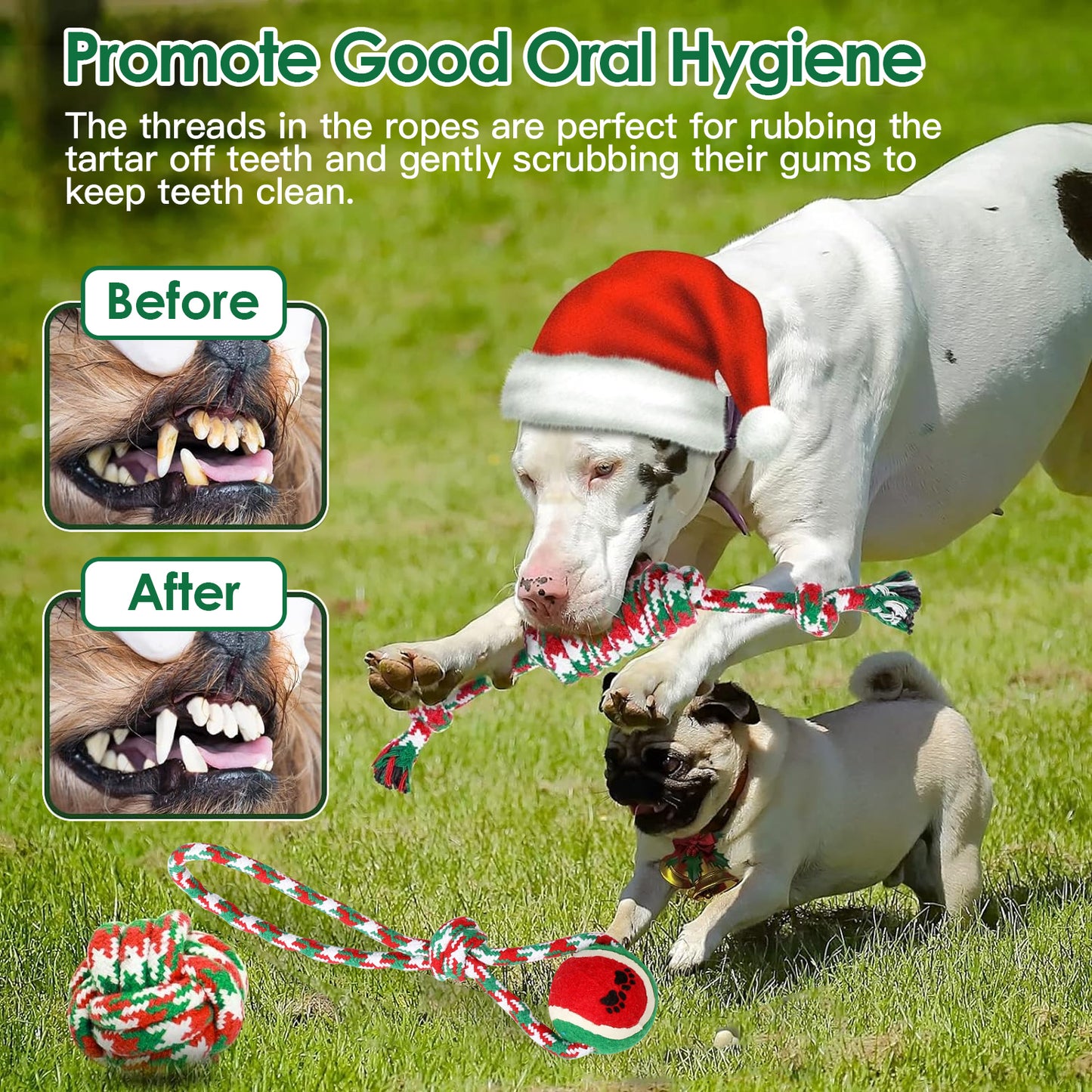 Christmas Dog Rope Chew Toys Set - Interactive Puppy Teething Toys for Small & Medium Dogs