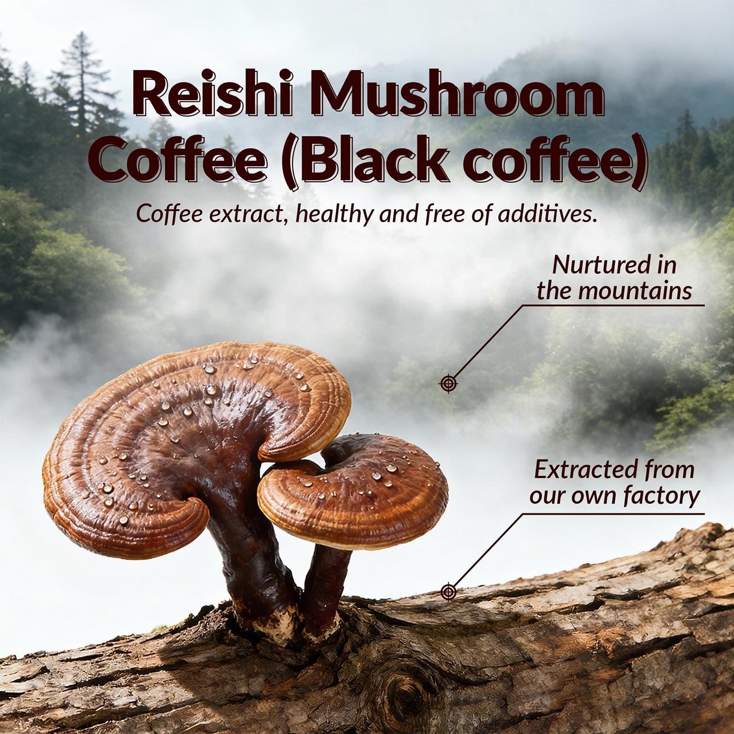 Instant Reishi Mushroom Coffee - 20g Sachets - 20 Count Pack