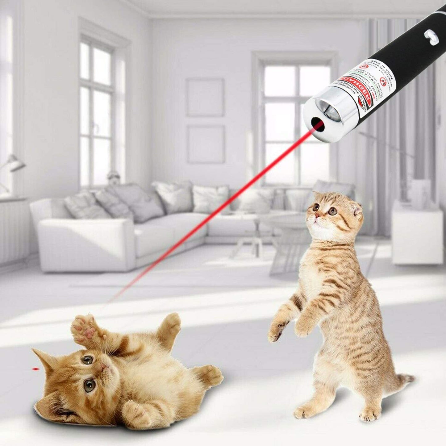 Red Laser Pointer Pen Light 650nm Mini Torch for Presentation and Teaching - 5 Pack