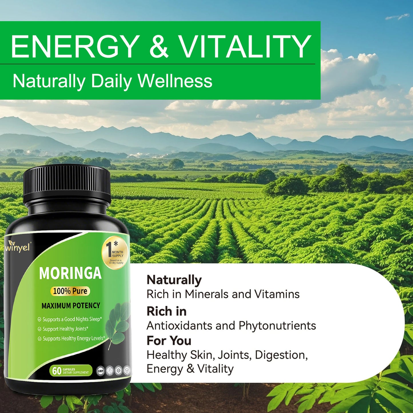 Pure Moringa Leaf Capsules - High Potency Nutrient-Dense Supplement - 60 Count