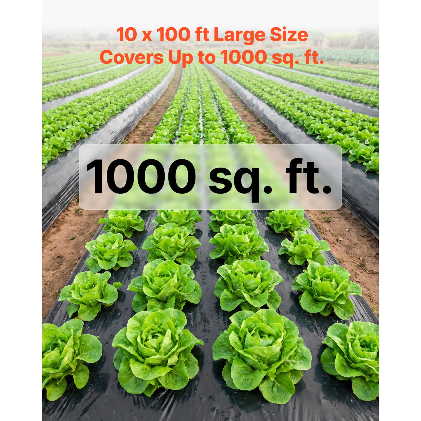 Heavy Duty Plastic Sheeting Roll 10x100ft Black Polyethylene for Garden & Covering