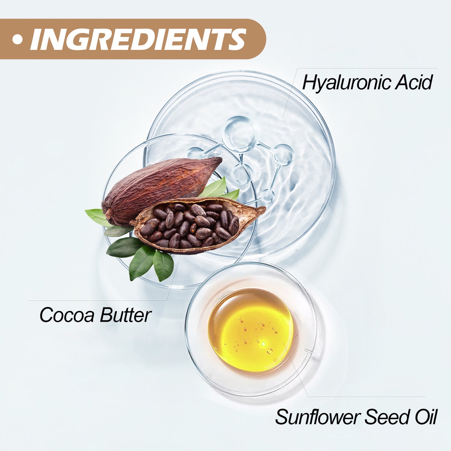 Cocoa Butter Body Lotion with Shea Butter & Aloe - Hydrating Skin Brightener