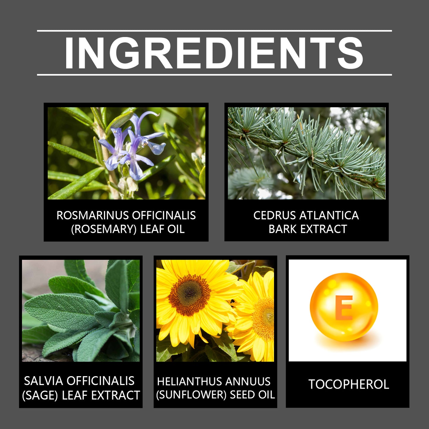 Rosemary Essential Oil for Body Massage - Moisturizing Skin Care Oil