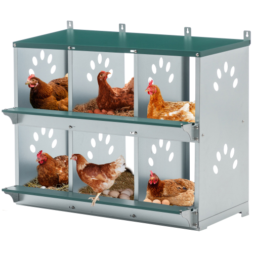 Galvanized Steel Chicken Nesting Box with 6 Compartments - Easy Assembly, Green
