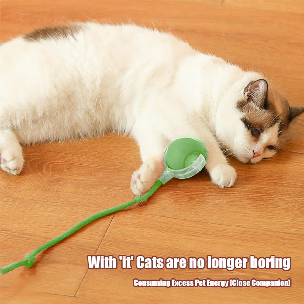 Interactive Electric Pet Ball Toy for Cats and Dogs - Indoor & Outdoor Play