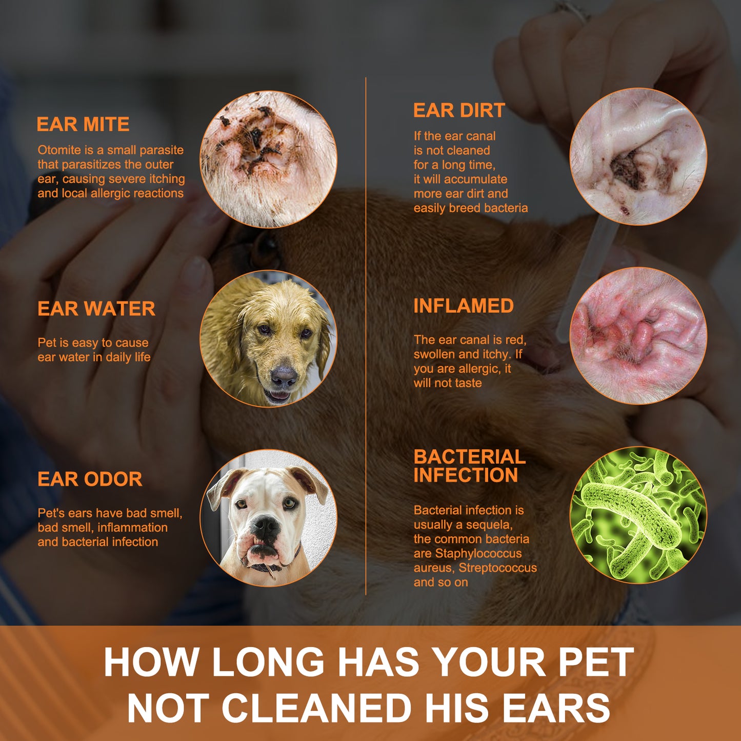 Pet Ear Cleaner Drops for Dogs & Cats - Gentle 50ml Solution with Aloe & Tea Tree Oil