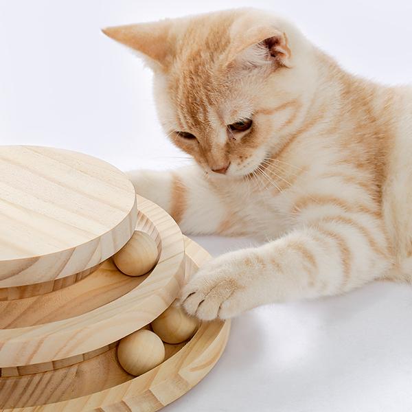 Indoor Cat Scratching Post and Interactive Toy Track Set - Small Cats