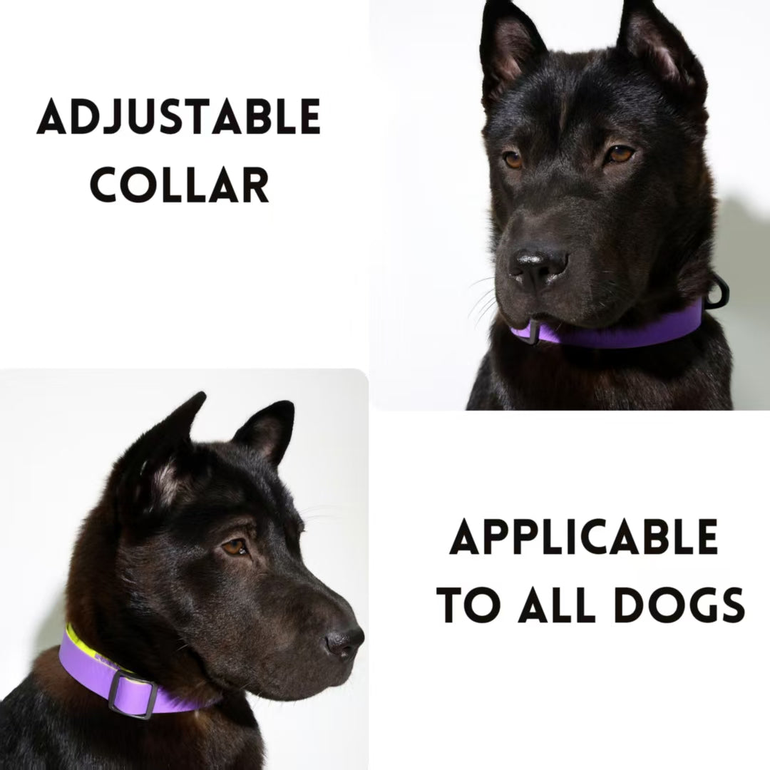 Honeycomb Embossed Dual-Color Pet Leash Set Waterproof & Wear-Resistant
