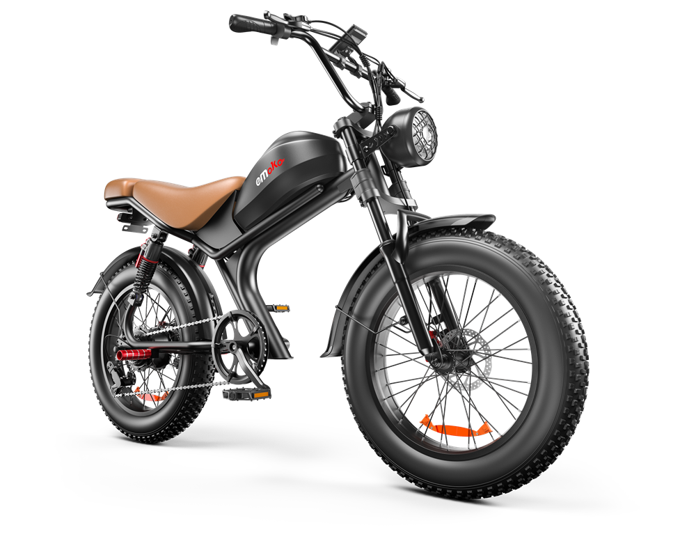 20 Inch Electric Bike - 1000W Motor, 48V Battery, Fat Tires